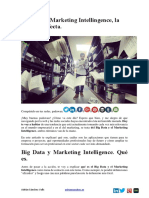 Big Data y Marketing Intellingence PDF