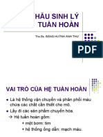 Giai Phau Sinh Ly Tuan Hoan PDF