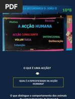 Rede conceptual da acção