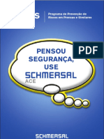 Manual Ilustrado PPRPS ACE SCHMERSAL PDF