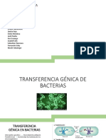 Transferencia-génica-de-bacterias
