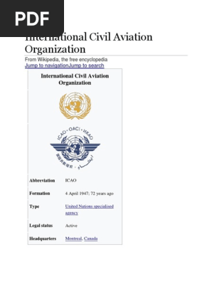 icao.docx