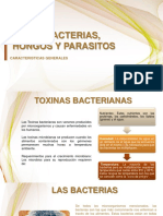 23. VIRUS, BACTERIAS, HONGOS Y PARASITOS.pptx