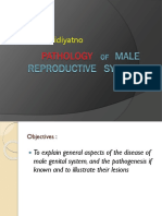 Pathology OF MALE Reproductive System