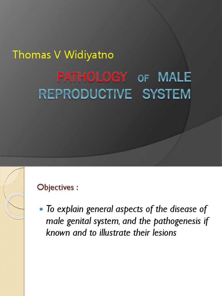 Pathology OF MALE Reproductive System | Download Free PDF | Testicle ...