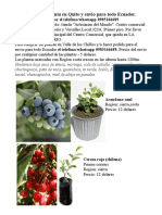 Catalogo AÁNDANO PDF