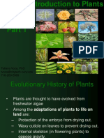 Evolutionary History and Major Groups of Plants