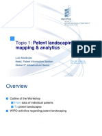 Patent Mapping and Landscaping
