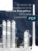 ReforEneraRetroPerspec.pdf