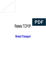 09-Prezentare Nivelul Transport PDF