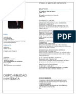 CV Actualizado Cami PDF