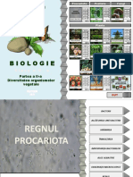 2017-botanica-ii (2).ppsx