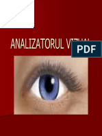 analizatorulvizual1.pdf