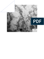 Alloy Designation, Processing, and Use of AA6XXX Series Aluminium Alloys _ Figure 1.pdf