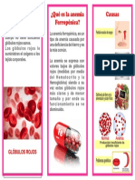 La Anemia 2 PDF