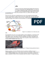 Fundamentals of Plate Tectonics