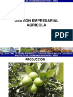 Gestión_Empresarial Agricola.ppt