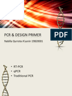 PCR & Design Primer