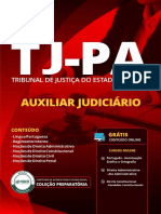 Enviando por email tj-pa-2019-auxiliar-judiciario.pdf