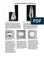 anato_dentaire2an_planche_anatomie-interne.pdf