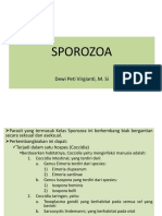 Sporozoa 2
