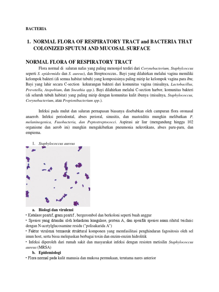 Materi Praktikum Blok Keluhan Respirasi Pdf