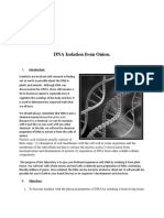 49890149-DNA-Isolation-from-Onion.docx