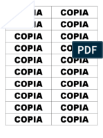 COPIA.docx