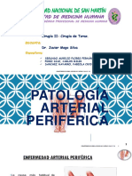 Patología Arterial Periférica