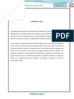 INFORME-FINAL-COVERTURAS.docx