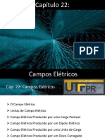 Cap 22 - Campo Eletrico.pdf