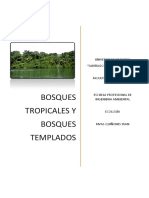 Informe bosques tropicales - tempaldos.docx