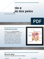 Anatomia e Fisiologia dos pelos.pptx