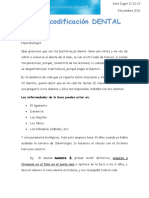 Bio-Dientes- 2.docx