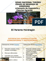 Dendrologia I - 2 - 2019