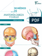 Anatomia Cabeza y Cuello RM 2020