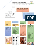 Mapa Regimen 2