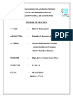 Informe de Impacto Ambiental