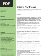 resume- redwing blackbird theater