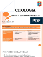 Citologia - Diferenciación S-2