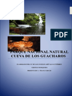 Proyecto Cueva de Los Guacharos