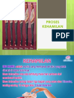 1.proses Terjadinya Kehamilan