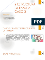 Papel y Estructura de La Familia