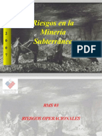 Riesgos Operacionales