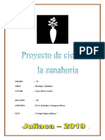 324358545-Proyecto-Feria-de-Ciencia-La-Zanahoria V G 2019
