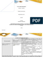 PLANTILLA DE INFORMACIÓN TAREA 2.docx