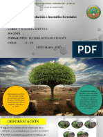 DIAPOSITIVA DE DEFORESTACION.pdf