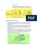 Almacenaje de Las Fajas