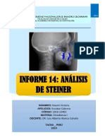 INFORME 14 ANALISIS DE STEINER.docx