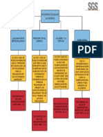 Organigrama en Blanco